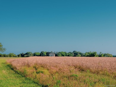 Behind a lush privet hedge, this expansive 102+ acre waterside - photo 5