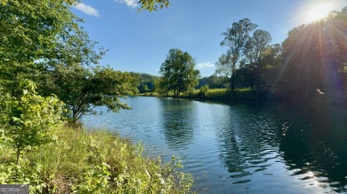 Lake Lot For Sale in Cleveland, Georgia