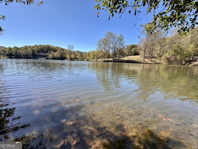 Build your dream retreat on Lake Laceola! Discover mountain-lake - photo 2