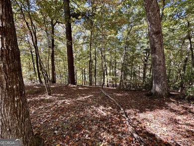 Build your dream retreat on Lake Laceola! Discover mountain-lake - photo 3