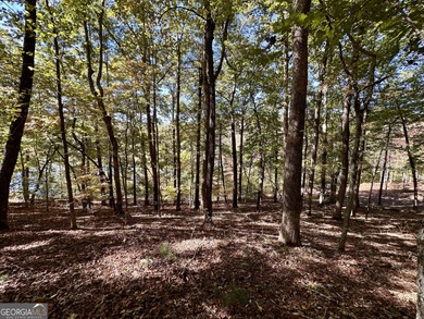 Build your dream retreat on Lake Laceola! Discover mountain-lake - photo 4