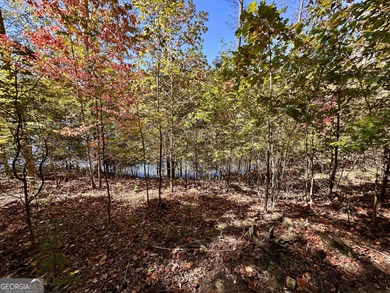 Build your dream retreat on Lake Laceola! Discover mountain-lake - photo 6