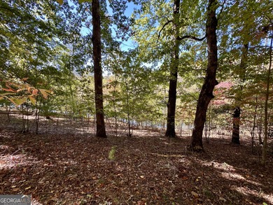 Build your dream retreat on Lake Laceola! Discover mountain-lake - photo 7