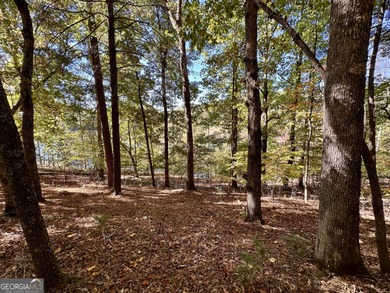 Build your dream retreat on Lake Laceola! Discover mountain-lake - photo 8