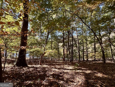 Build your dream retreat on Lake Laceola! Discover mountain-lake - photo 9
