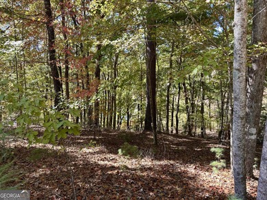 Build your dream retreat on Lake Laceola! Discover mountain-lake - photo 10