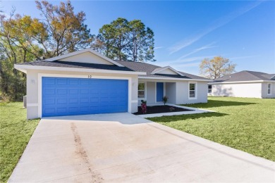 Lake Home For Sale in Ocklawaha, Florida