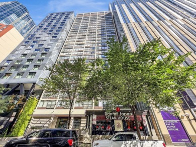 Lake Michigan - Cook County Condo For Sale in Chicago Illinois