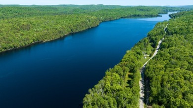 Lake Lot For Sale in Labelle,