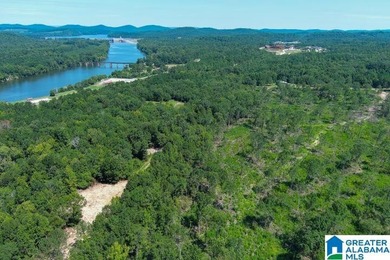 Coosa River - St. Clair County Acreage For Sale in Ohatchee Alabama