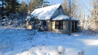 Lake Nokomis Home For Sale in Tomahawk Wisconsin