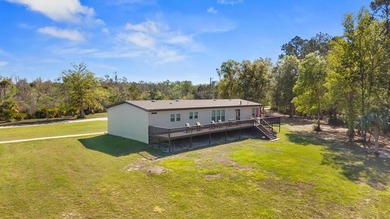 Welcome to this one-of-a-kind Steinhatchee retreat offering - photo 39