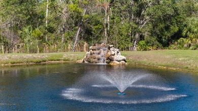 Welcome to this one-of-a-kind Steinhatchee retreat offering - photo 45