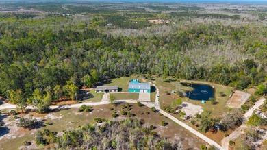 Welcome to this one-of-a-kind Steinhatchee retreat offering - photo 49