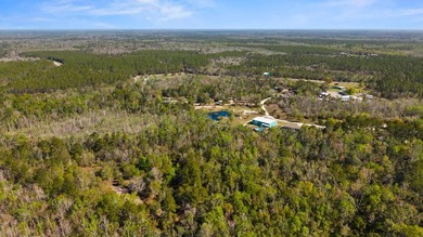 Welcome to this one-of-a-kind Steinhatchee retreat offering - photo 50