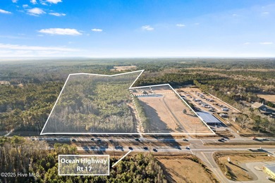 Unparalleled opportunity awaits visionary investors and - photo 3