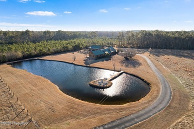 Unparalleled opportunity awaits visionary investors and - photo 4