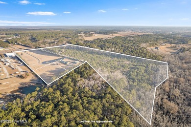 Unparalleled opportunity awaits visionary investors and - photo 7