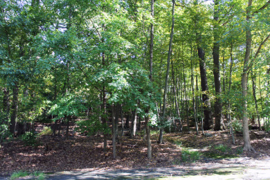 3.48 acres, 265' frontage and city sewers! - photo 10