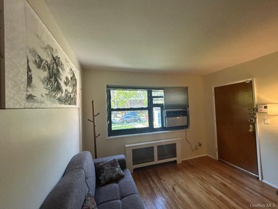 Clearview Gardens Coop One Bedroom (Lower Level Unit ,610 Square - photo 10