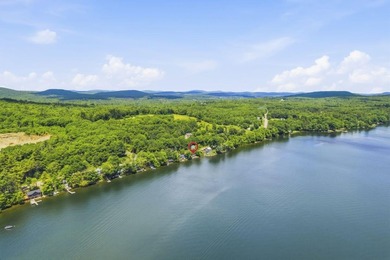 Swan Lake waterfront living doesn't get more immediate than this - photo 34