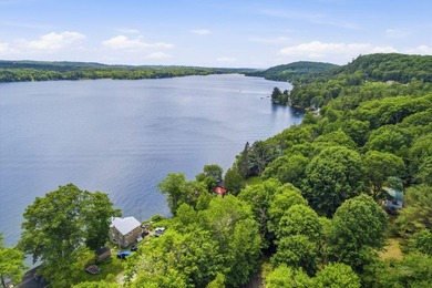 Swan Lake waterfront living doesn't get more immediate than this - photo 35