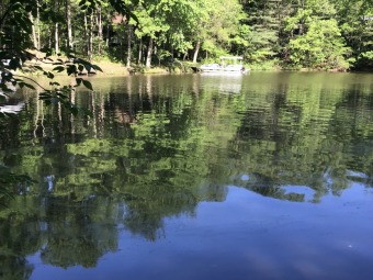 Lake Allegan Lot For Sale in Allegan Michigan