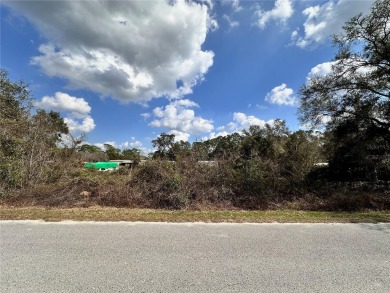 Lake Lot For Sale in Ocklawaha, Florida