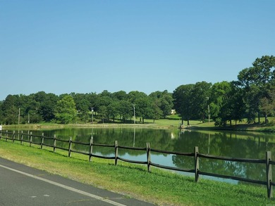 Beautiful, corner lot with views of Lake Catherine! Almost 1 - photo 15