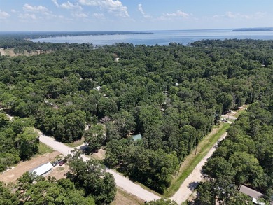 Picture your private retreat on this remarkable quarter-acre - photo 10