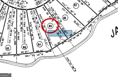 Lake Lot For Sale in Monticello, Georgia