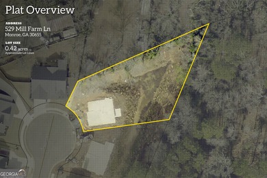 New construction farmhouse walking distance (or take your golf - photo 2