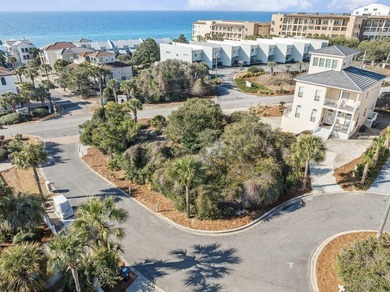 Rare Opportunity to own one of the few remaining lots in Blue - photo 3