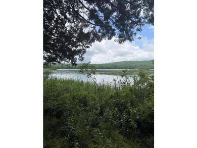 Enjoy approximately 200 feet of frontage on beautiful Sebec Lake - photo 1