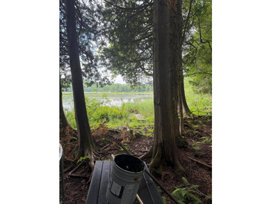 Enjoy approximately 200 feet of frontage on beautiful Sebec Lake - photo 2