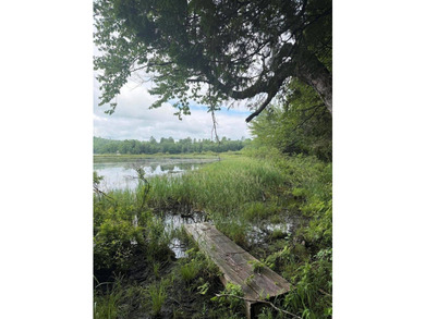 Enjoy approximately 200 feet of frontage on beautiful Sebec Lake - photo 3