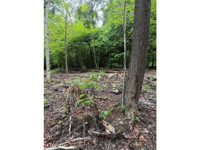 Enjoy approximately 200 feet of frontage on beautiful Sebec Lake - photo 8