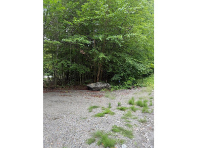 Enjoy approximately 200 feet of frontage on beautiful Sebec Lake - photo 10