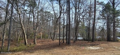RARE WATERFRONT LOT in beautiful Albemarle Plantation! Build - photo 4