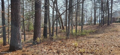 RARE WATERFRONT LOT in beautiful Albemarle Plantation! Build - photo 5