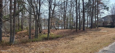RARE WATERFRONT LOT in beautiful Albemarle Plantation! Build - photo 6