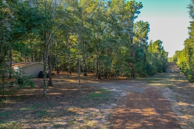 Lake Palestine Home For Sale in Chandler Texas