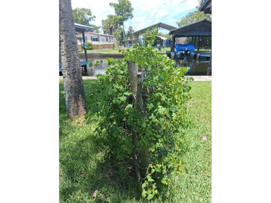 Another chance to own a piece of paradise in one of Floridas - photo 12