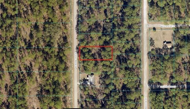 Bonable Lake Lot For Sale in Dunnellon Florida