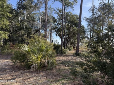 Build your dream home on the largest lot in the new beautiful - photo 2