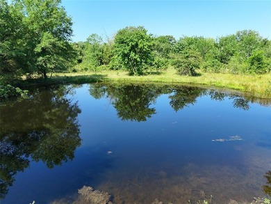 (private lake, pond, creek) Acreage For Sale in Talco Texas