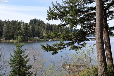 Two tax lots offering excellent potential with substantial - photo 1