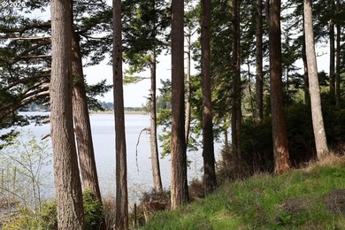 Two tax lots offering excellent potential with substantial - photo 3