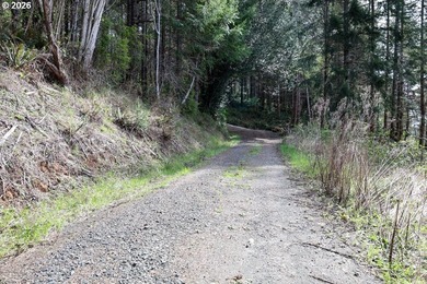 Two tax lots offering excellent potential with substantial - photo 4