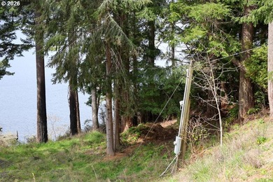 Two tax lots offering excellent potential with substantial - photo 8